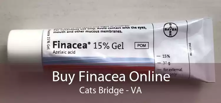 Buy Finacea Online Cats Bridge - VA